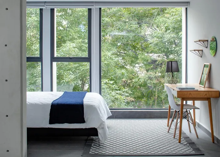 Niu Modern & Centric Lofts Apartment Mexico City